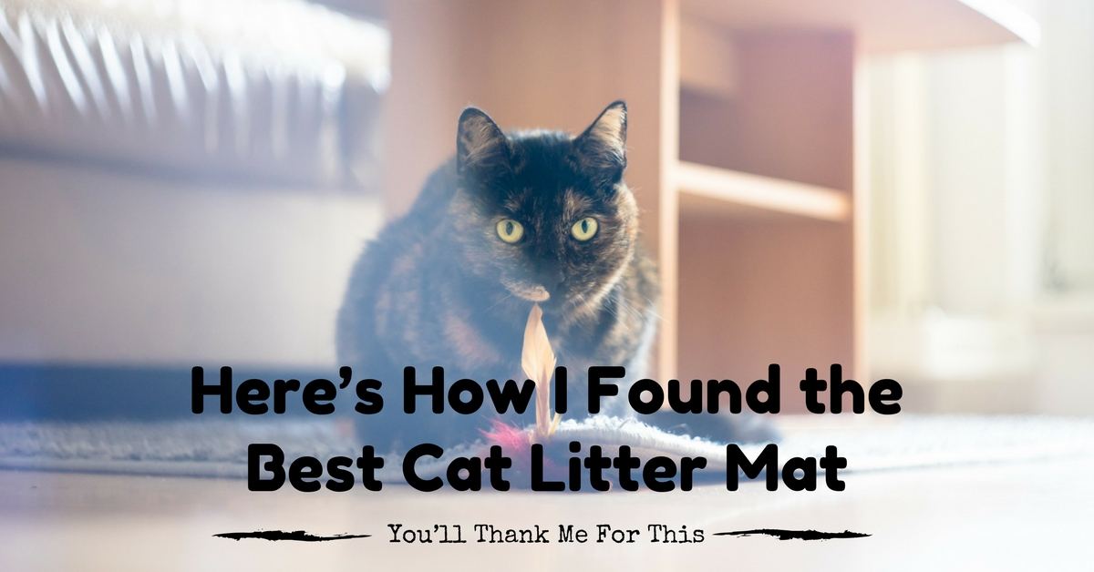 Best-Cat-Litter-Mat-1200x