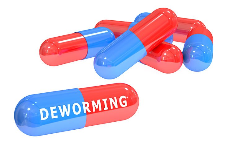 Deworming-is-one-of-the-treatments-for-the-parasitic-infection-730